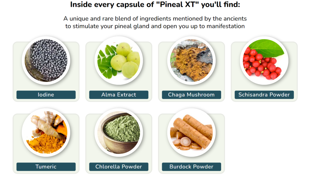 Ingredients of Pineal XT